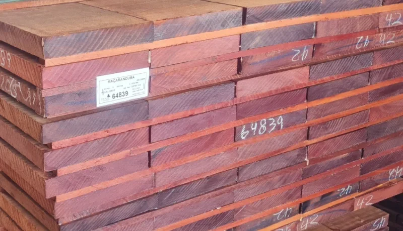 Saw-tropical-D Saw-tropical-D